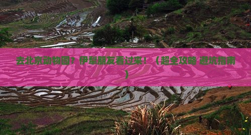 伊犁去北京动物园旅行社