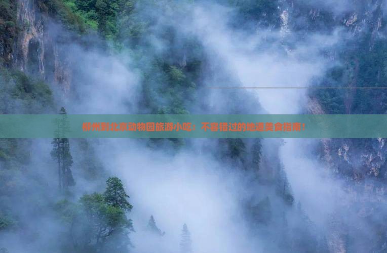 柳州到北京动物园旅游小吃