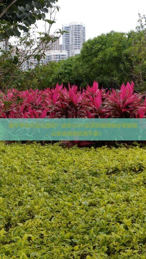端午节到北京天坛公园哪里玩