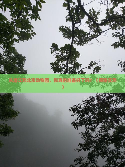 潜江到北京动物园旅游