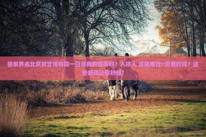 张家界去北京故宫博物院一日游
