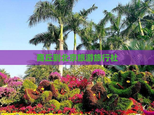 商丘到北京天坛公园旅行社