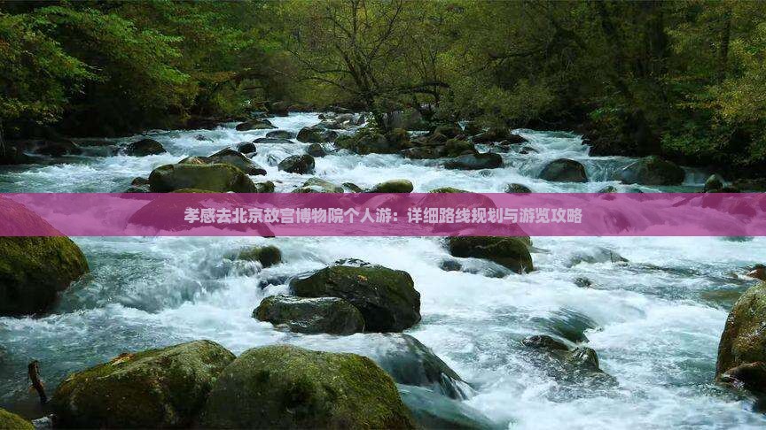 孝感去北京故宫博物院个人游
