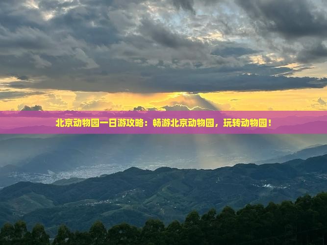 来宾去北京动物园一日游
