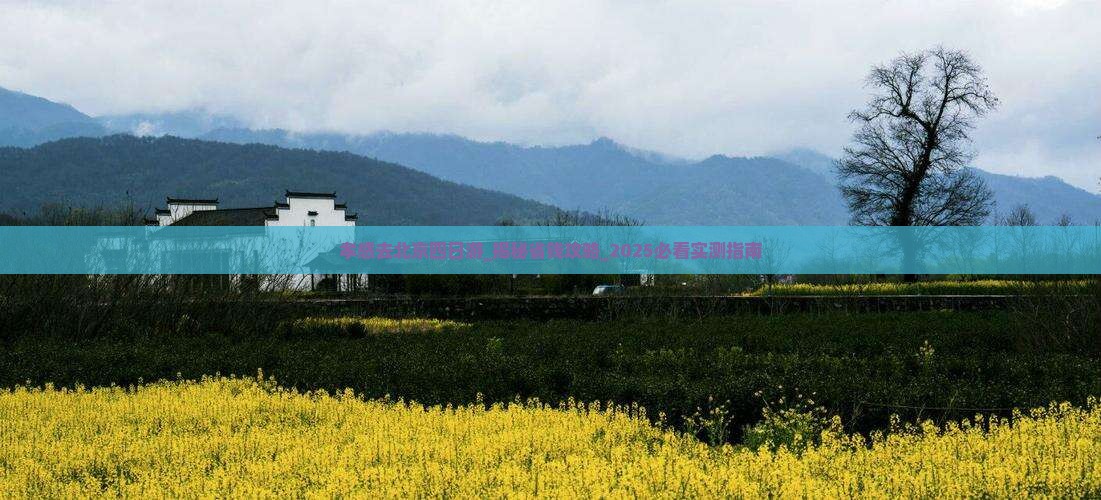 孝感去北京四日游