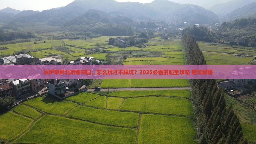 伊犁到北京动物园攻略