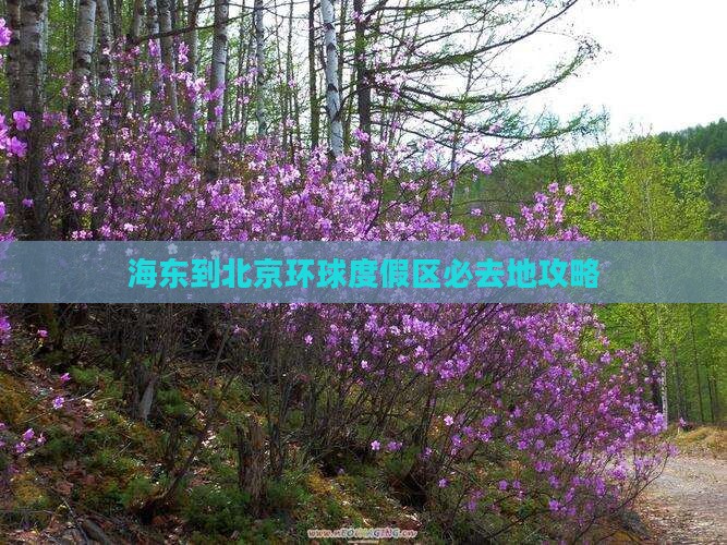 海东到北京环球度假区必去地