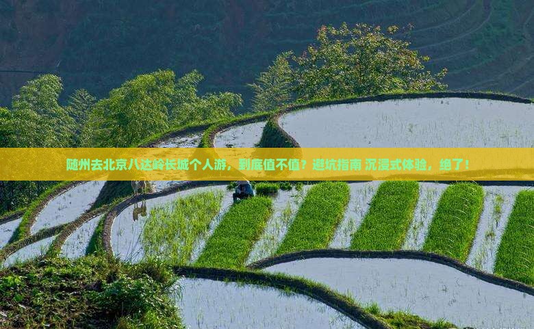 随州去北京八达岭长城个人游