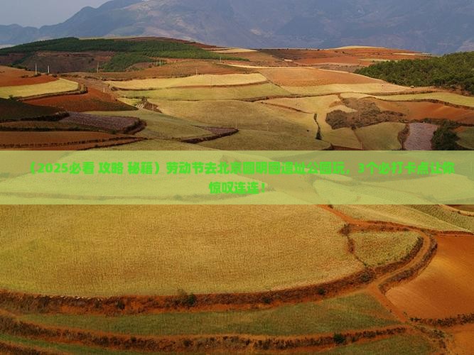 劳动节到北京圆明园遗址公园哪里玩