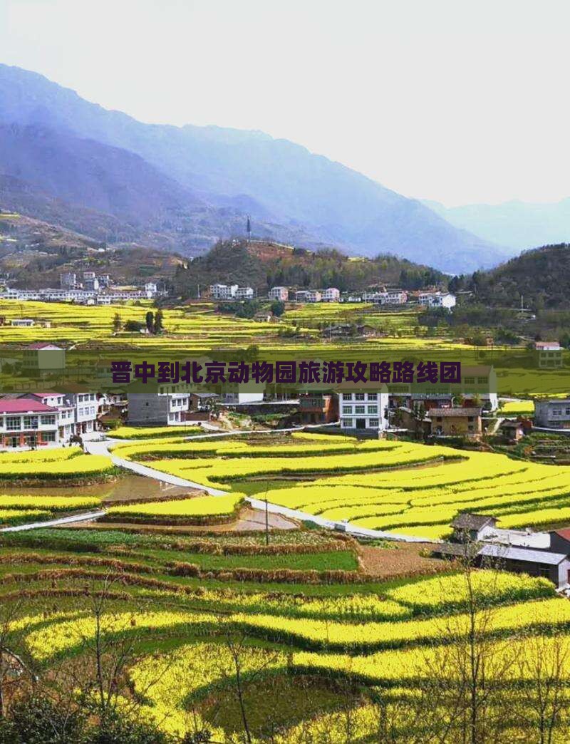 晋中到北京动物园旅游