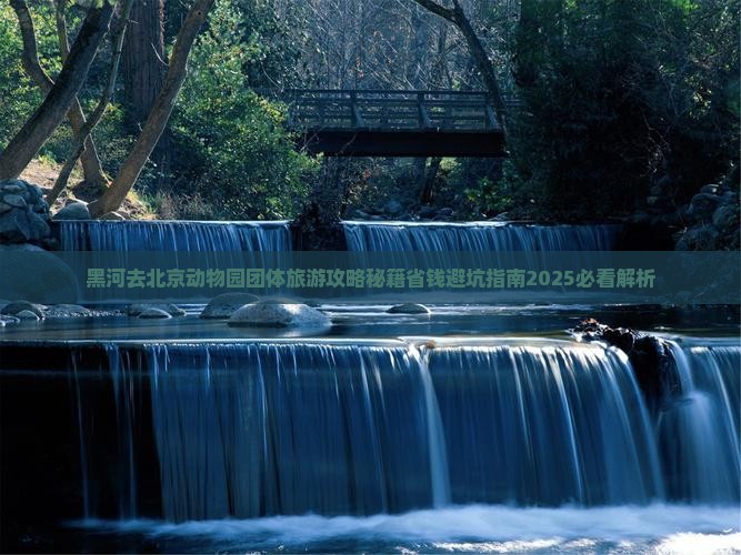 黑河去北京动物园团体旅游