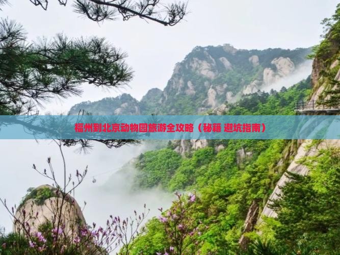 福州到北京动物园旅行社