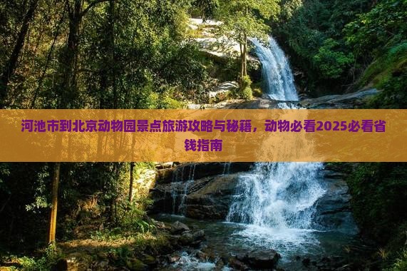 河池到北京动物园景点 河池到北京动物园景点
