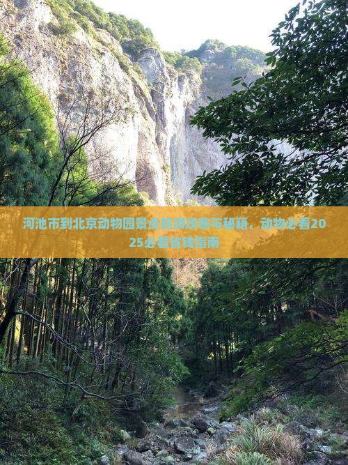 河池到北京动物园景点 河池到北京动物园景点