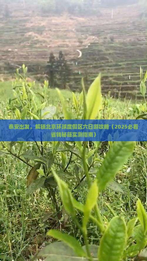 泰安去北京环球度假区六日游