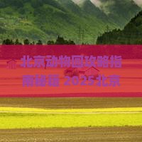 贺州去北京动物园自由团
