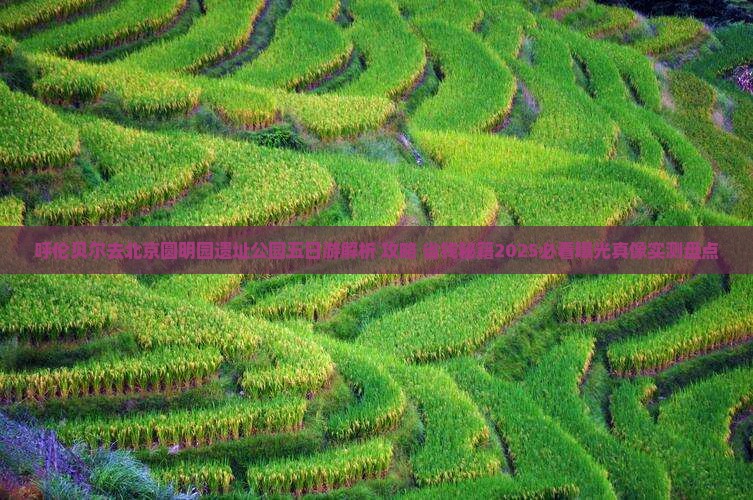 呼伦贝尔去北京圆明园遗址公园五日游