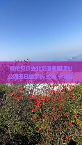 呼伦贝尔去北京圆明园遗址公园五日游