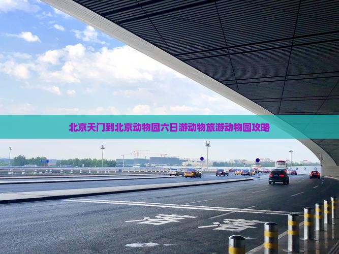 天门到北京动物园六日游