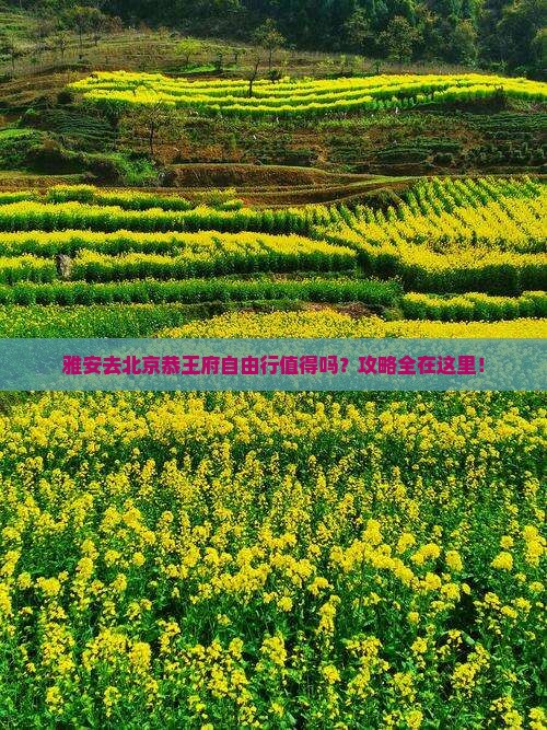 雅安去北京恭王府自由行
