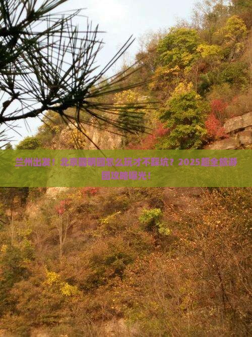 兰州到北京圆明园遗址公园大型旅游团