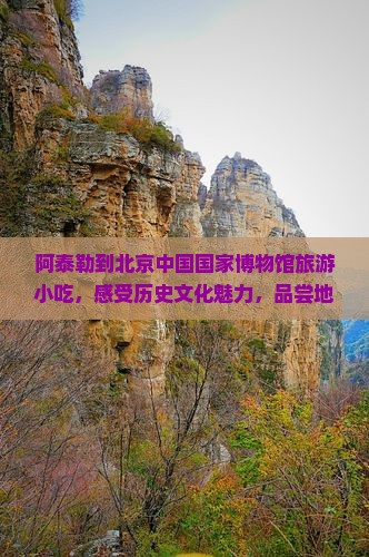 阿泰勒到北京中国国家博物馆旅游小吃
