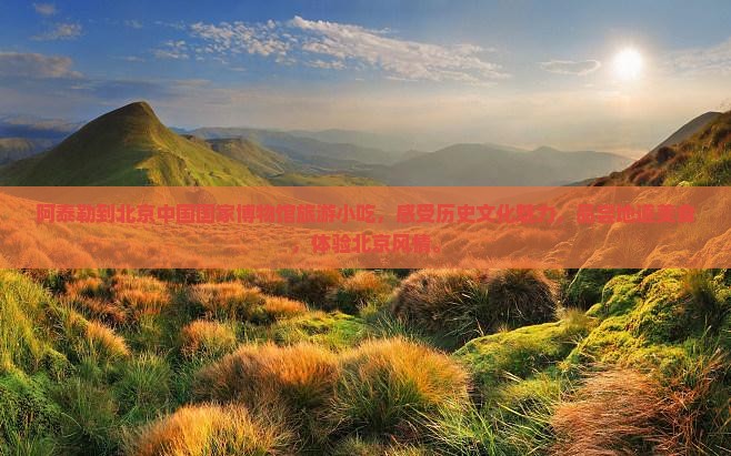 阿泰勒到北京中国国家博物馆旅游小吃