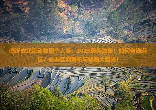 临沂去北京动物园个人游