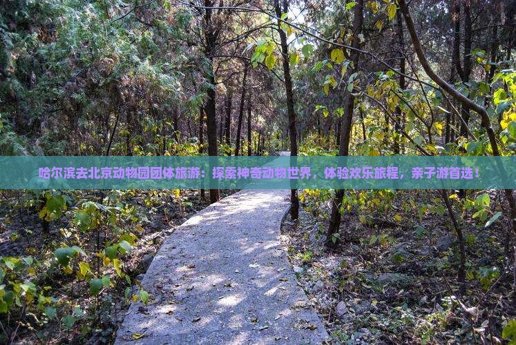 哈尔滨去北京动物园团体旅游