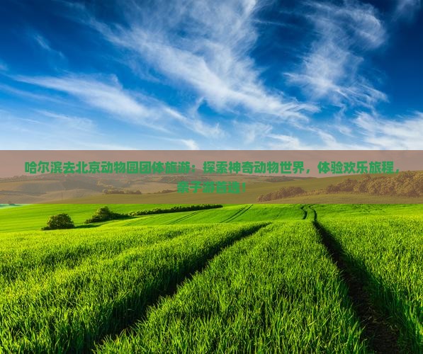 哈尔滨去北京动物园团体旅游