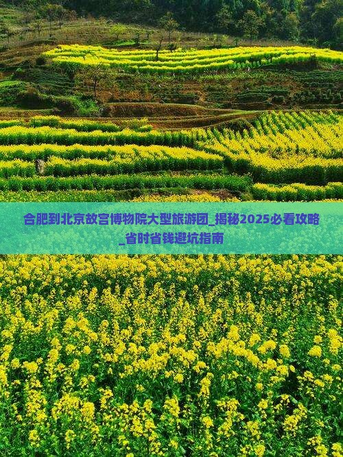 合肥到北京故宫博物院大型旅游团