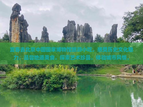 宜春去北京中国国家博物馆旅游小吃