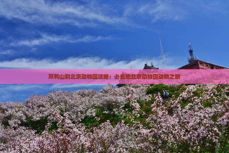 双鸭山到北京动物园必去地