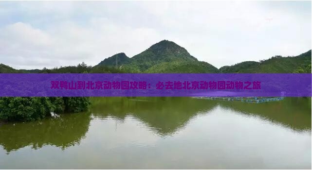 双鸭山到北京动物园必去地
