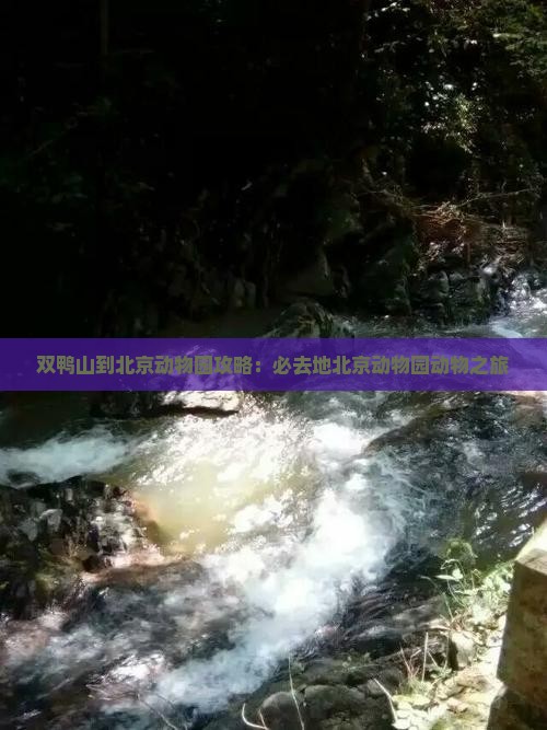 双鸭山到北京动物园必去地