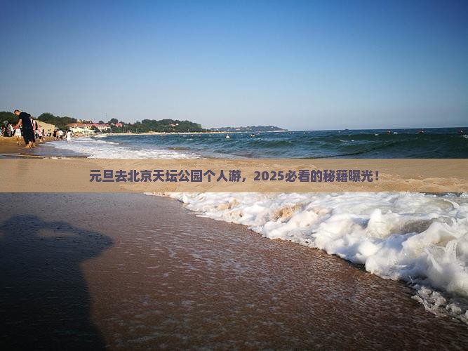 元旦去北京天坛公园个人游