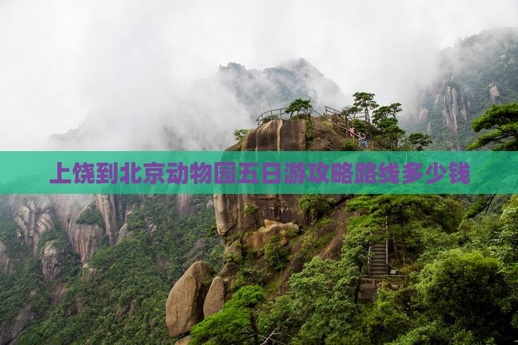 上饶到北京动物园五日游
