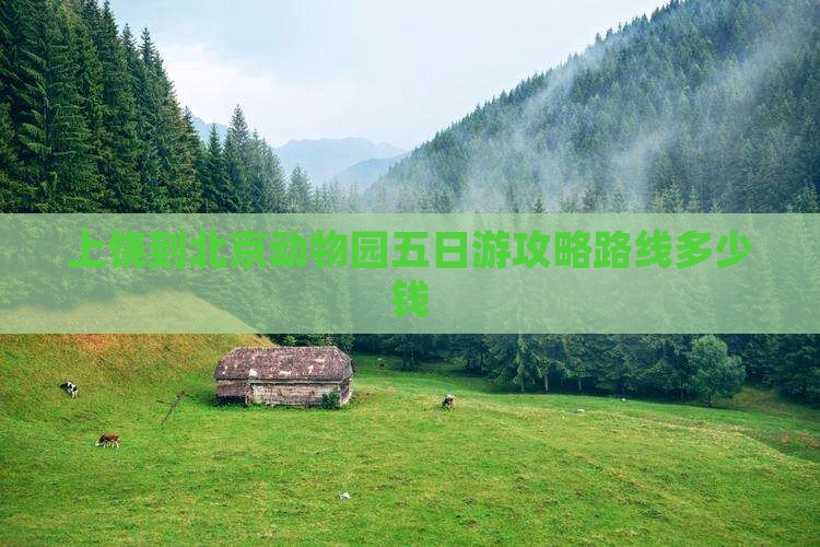 上饶到北京动物园五日游