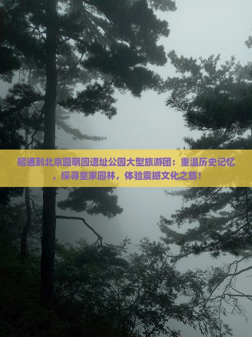 昭通到北京圆明园遗址公园大型旅游团