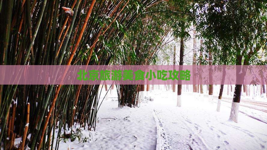 盐城去北京旅游小吃