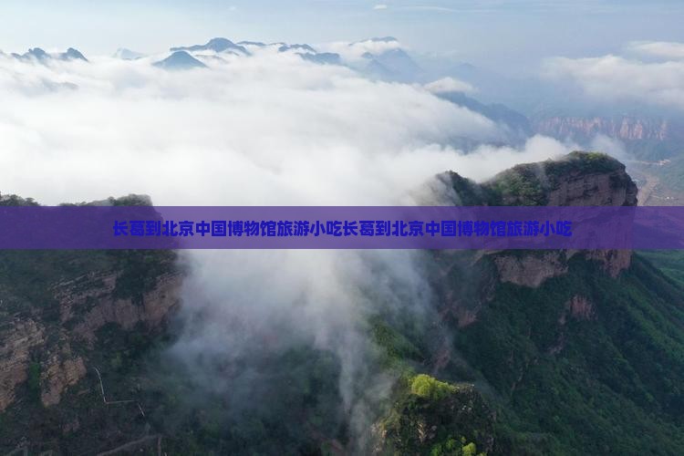 长葛到北京中国国家博物馆旅游小吃