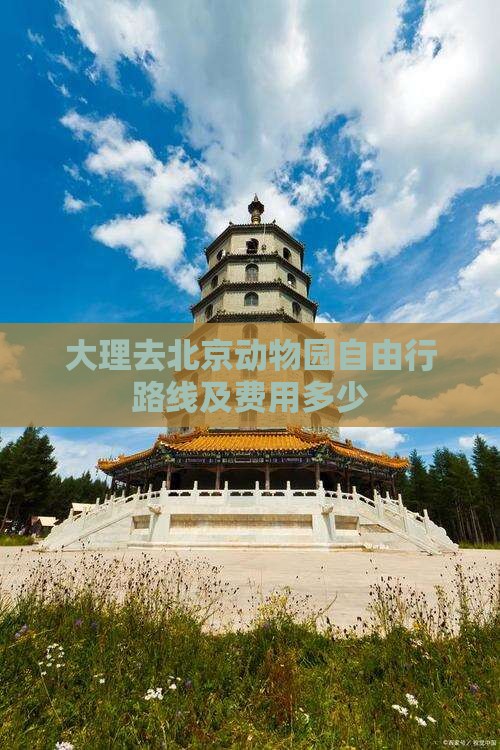 大理去北京动物园自由行