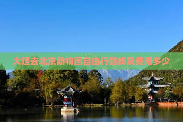 大理去北京动物园自由行