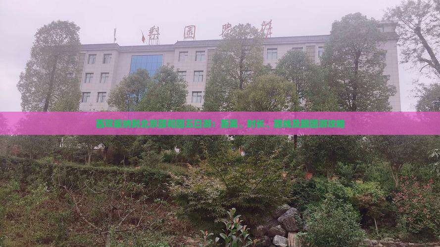 西双版纳到北京颐和园五日游