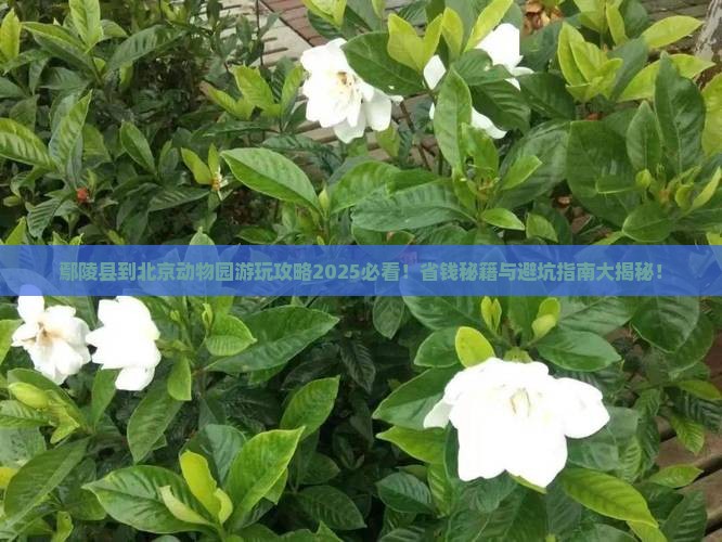 鄢陵县到北京动物园景点