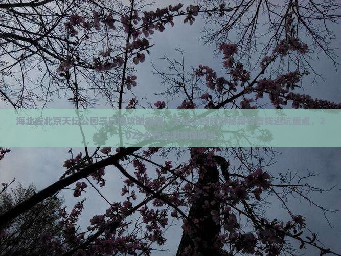 海北去北京天坛公园三日游
