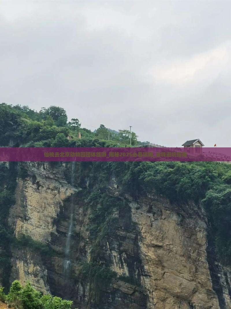 仙桃去北京动物园团体旅游