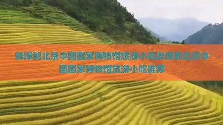 蚌埠到北京中国国家博物馆旅游小吃