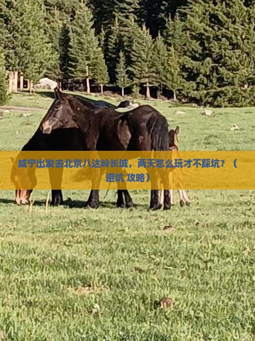 咸宁去北京八达岭长城二日游