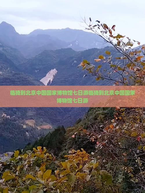 临猗到北京中国国家博物馆七日游